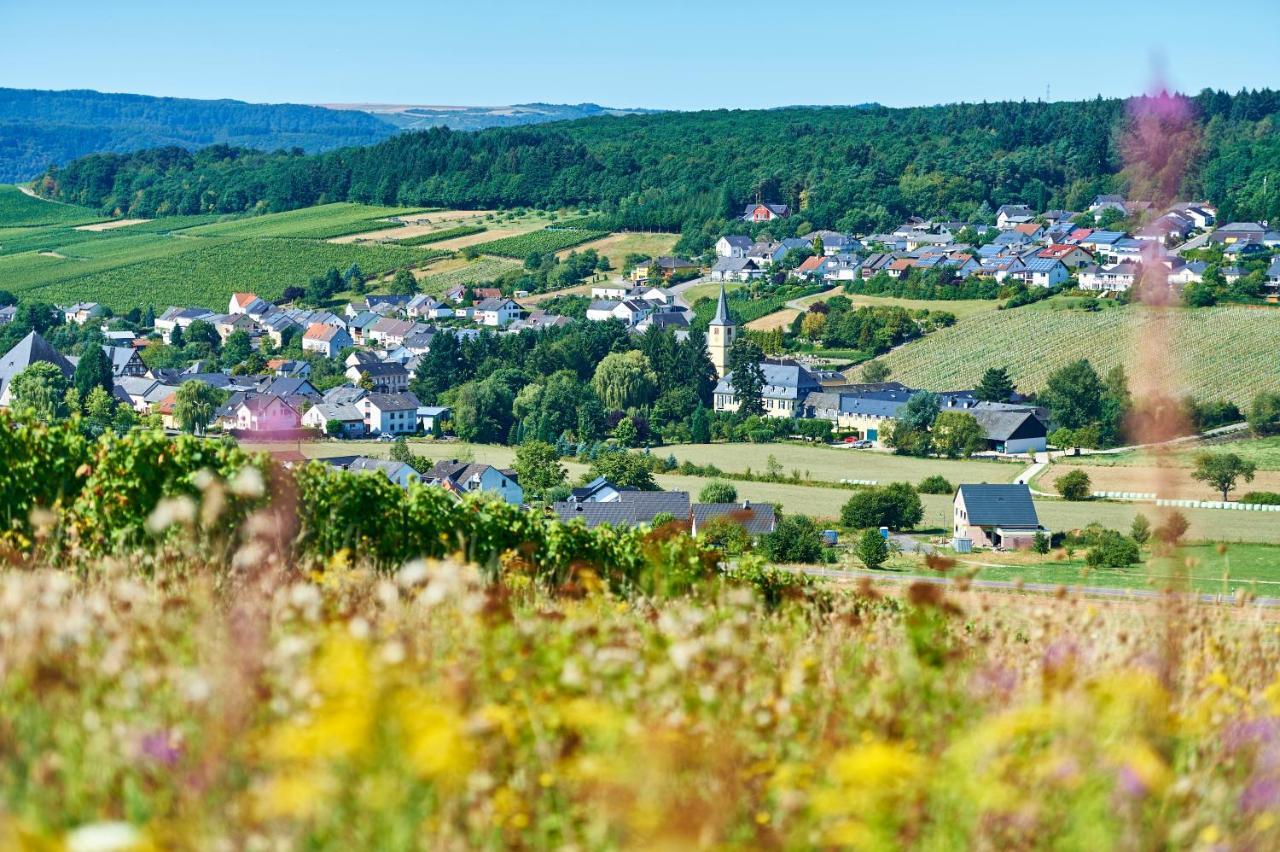 Ferienweingut Willems Oberemmel Exterior foto