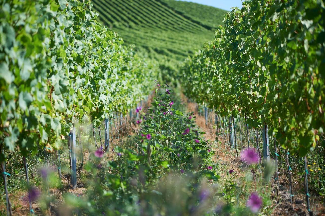 Ferienweingut Willems Oberemmel Exterior foto